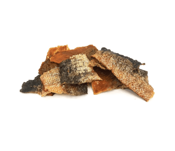 Raww Nature- Tiras Pele Salmão c/ Carne Extra 70g
