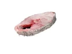 corvina aquicultura posta kg