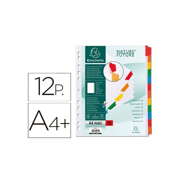 Exacompta 12 Separadores Cartolina Pestanas Coloridas A4+ Multiperfurado - OFF076288CE