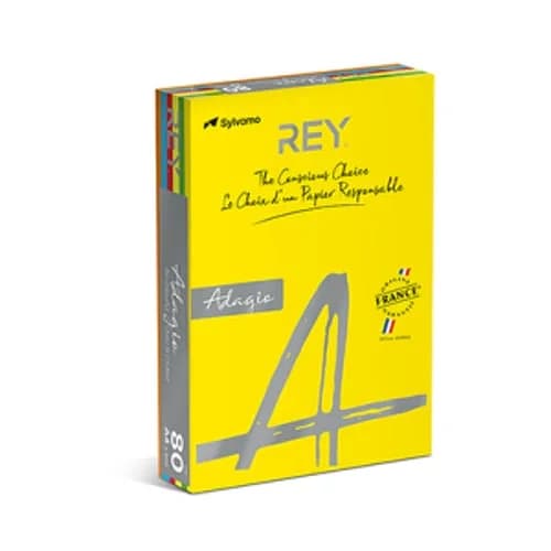 Papel Fotocopia 5 Cores Fortes A4 080gr 5×100=500Fls (1 Uni.)