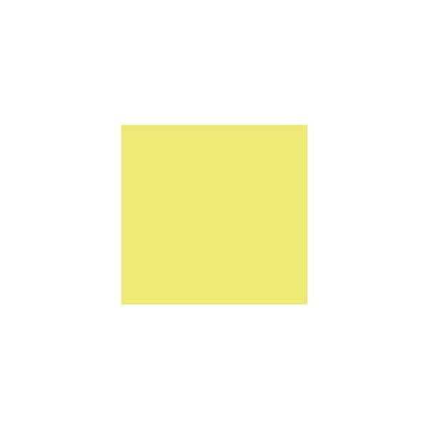 Canson Cartolina 240gr 25Folhas 50x65cm Iris Kiwi 172109818