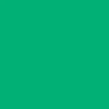 Cartolina 50x65cm Verde Hortelã 240g 25 Folhas Canson 17209817 - 17209817