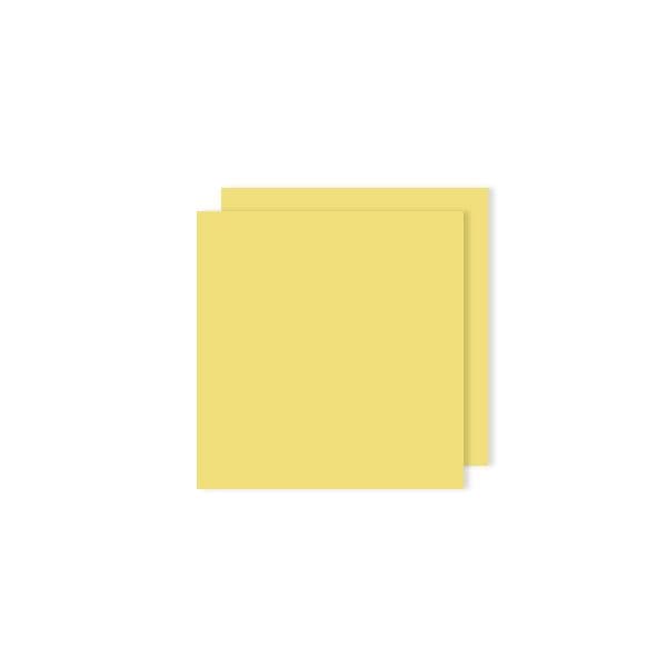 Canson 25 Fls Cartolina Iris 50x65cm 240g Amarelo Limão - 17240356