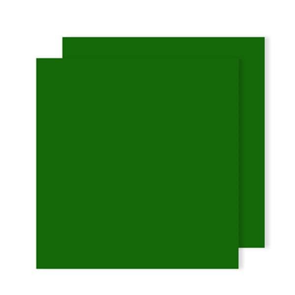 Canson 25 Fls Cartolina Iris 50x65cm 240g Verde Abeto - 17240383