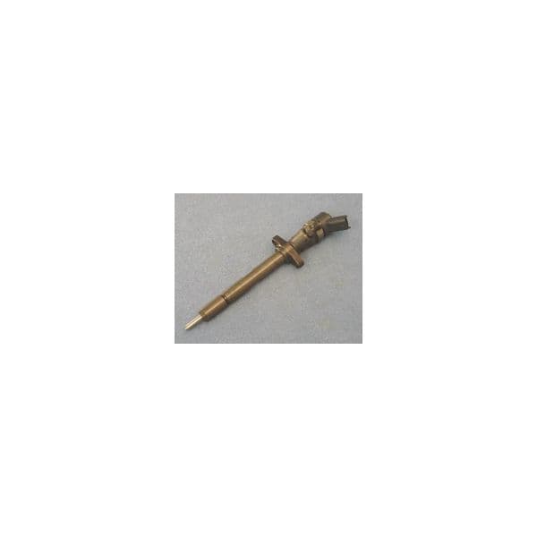BOSCH Injector - 3165143134856