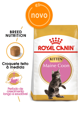 Royal Canin Maine Coon Kitten 4Kg