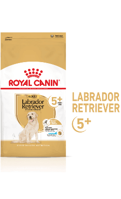 Royal Canin Labrador Retriever Adult 5+ 12Kg