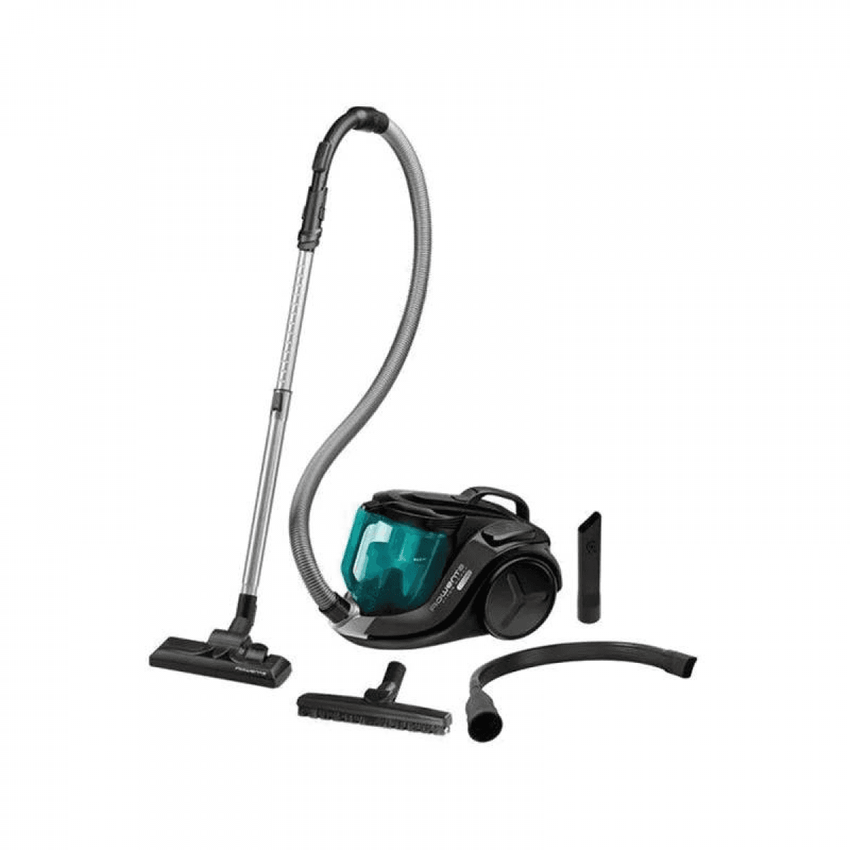Aspirador Rowenta RO6932EA