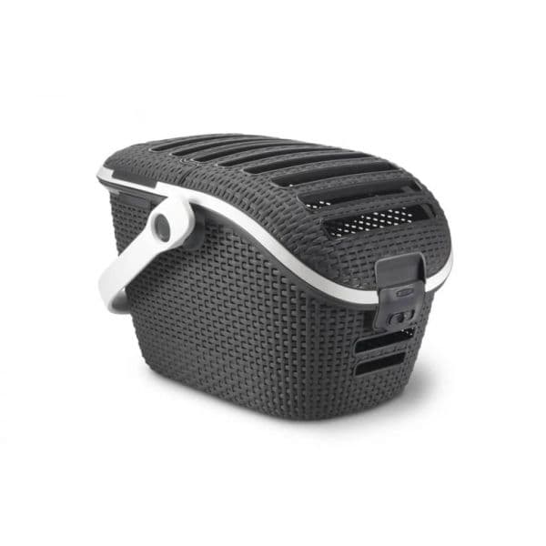 Curver Caixa de Transporte L 51 x P 38 x a 33 cm Preto