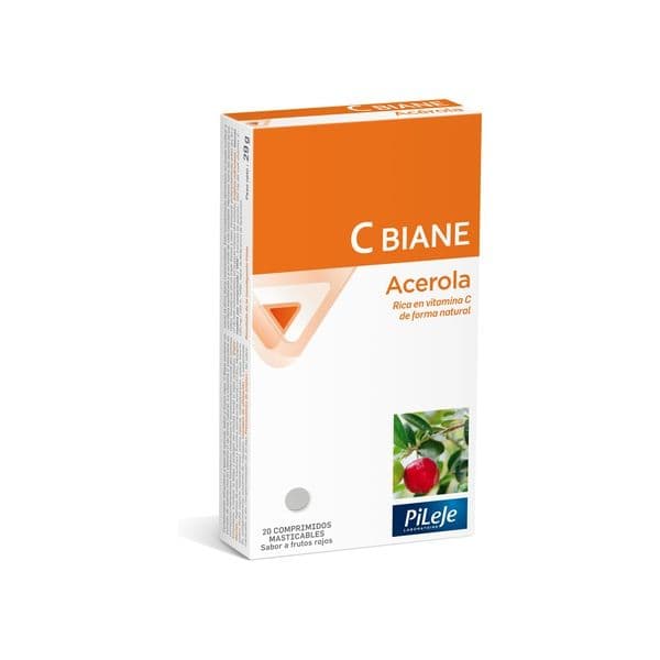 Pileje C Biane 20 Cubos Mastigáveis