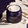 Caudalie Premier Cru Creme Rico 50 ml | Saude Mayor