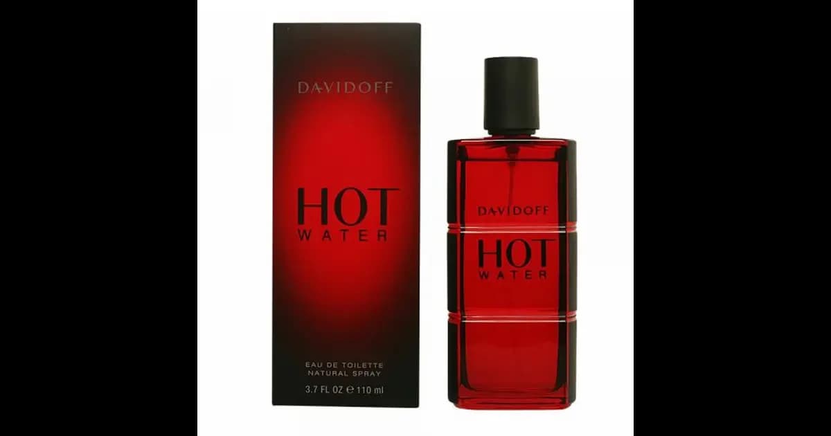 Davidoff Hot Water Man Eau de Toilette 110ml (Original)