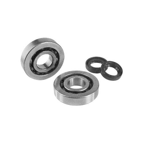 ROLAMENTOS + VEDANTES CAMBOTA PEUGEOT BUXY/SPEEDFIGHT NTN