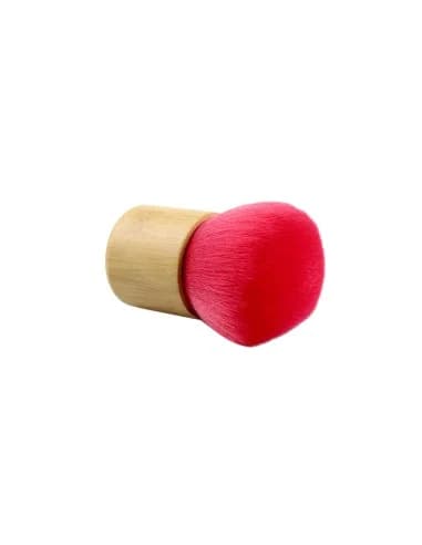 Brosse antistatique professionnelle vinyle