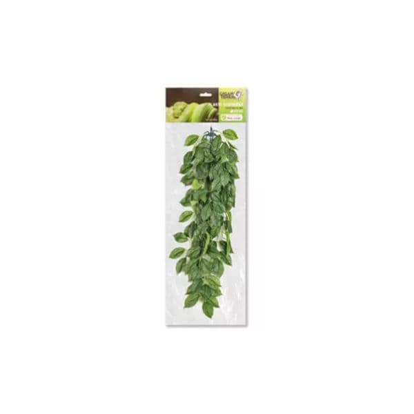 Giganterra Planta Suspensa Ficus 30cm