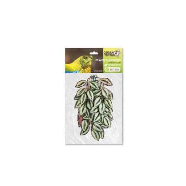 Planta Suspensa Tradescantia 70cm
