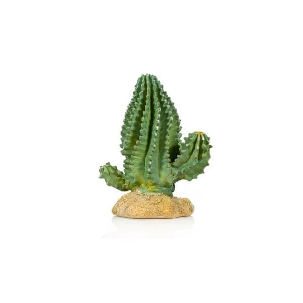 Gigan Terra Cactus 1 Giganterra