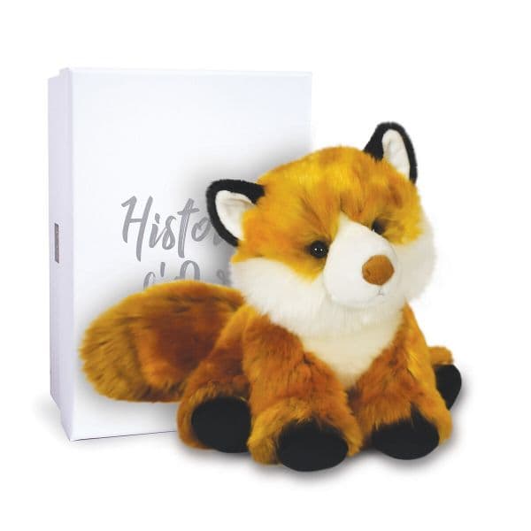 Histoire D'ours Peluche Gus, a Raposa Fogo