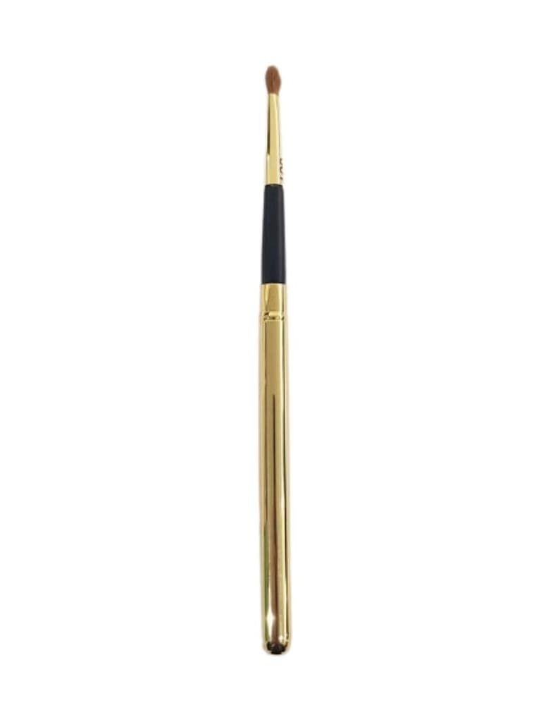 Pierre René Makeup Brush Labios N301