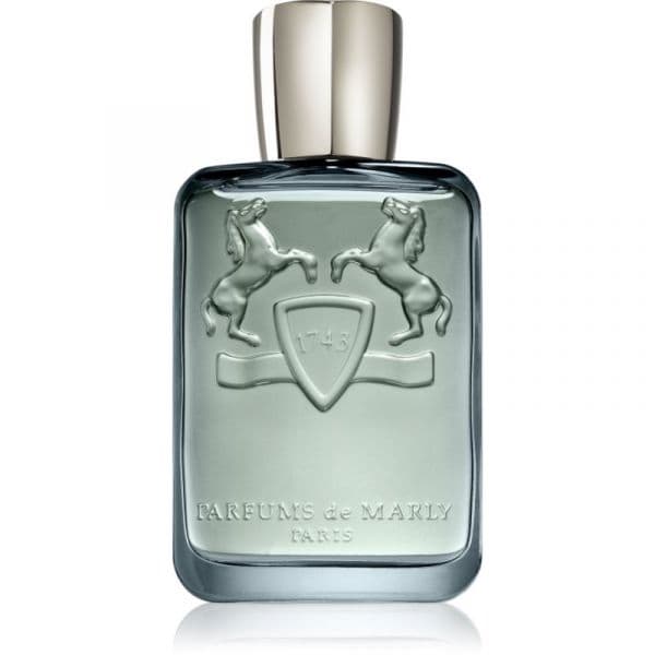 Parfums De Marly Castley Man Eau de Parfum 125ml (Original)
