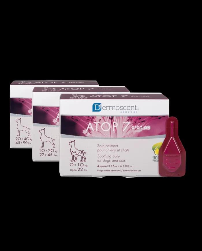 Dermoscent Atop7 Spot-on Cão Médio 4 Pipetas