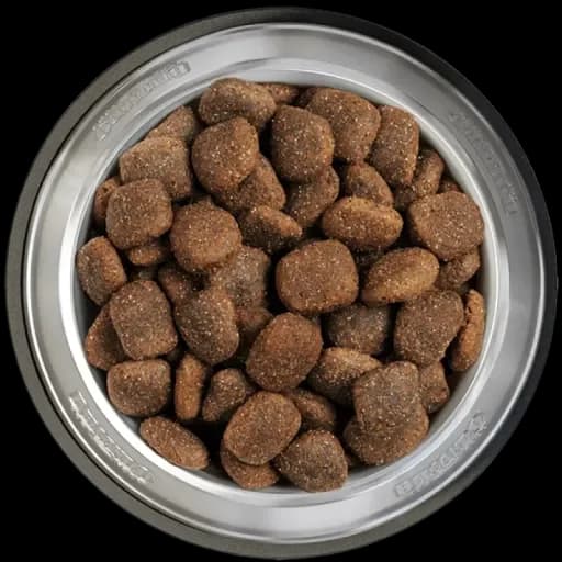 Belcando Adult Grain Free Ocean