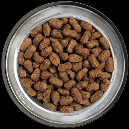 Belcando Junior Maxi 12,5Kg