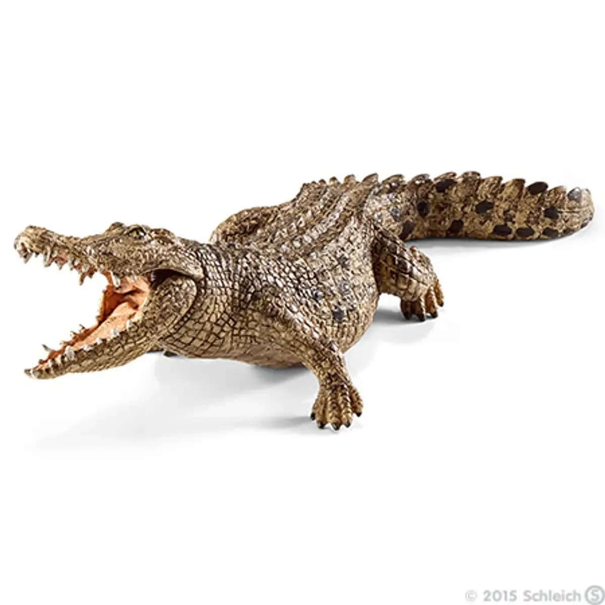 Crocodilo