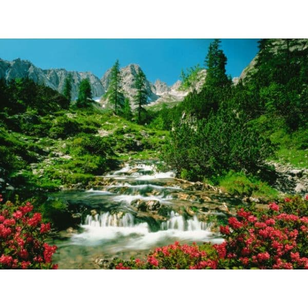 Ravensburger Puzzle 1000 Peças - Áustria Tirol Mieminger