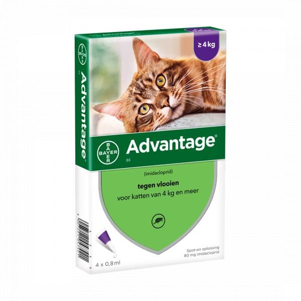 Bayer Advantage 80 Gato mais 4Kg 4 Pipetas
