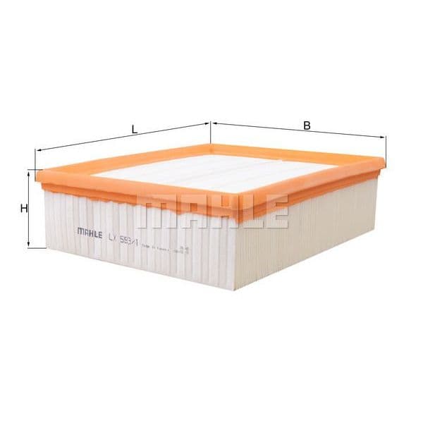 Mahle Filters LX593/1 Filtro de Ar - LX593_1