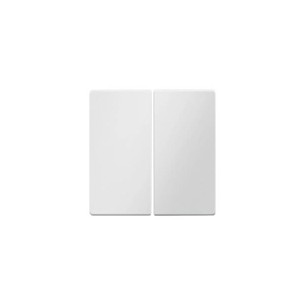 Berker Q. X Tecla Dupla, Branco - 16236089