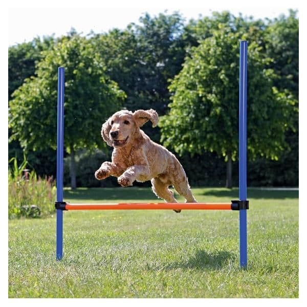 Trixie Barra Agility - TX3207