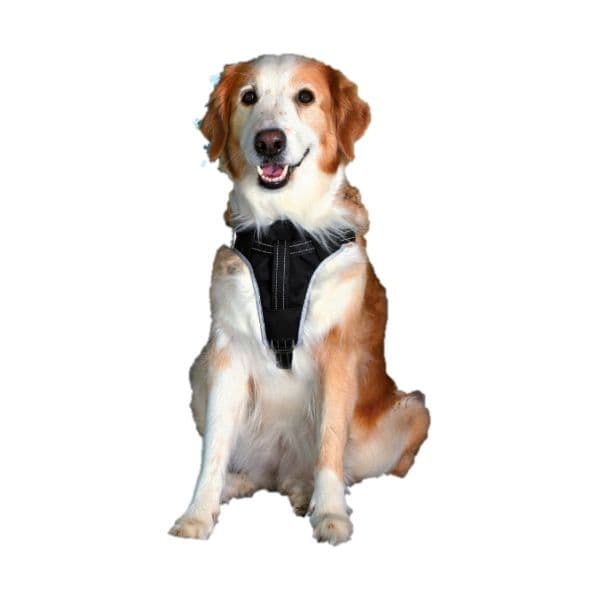 Trixie Peitoral para Automóvel Dog Protect S-m