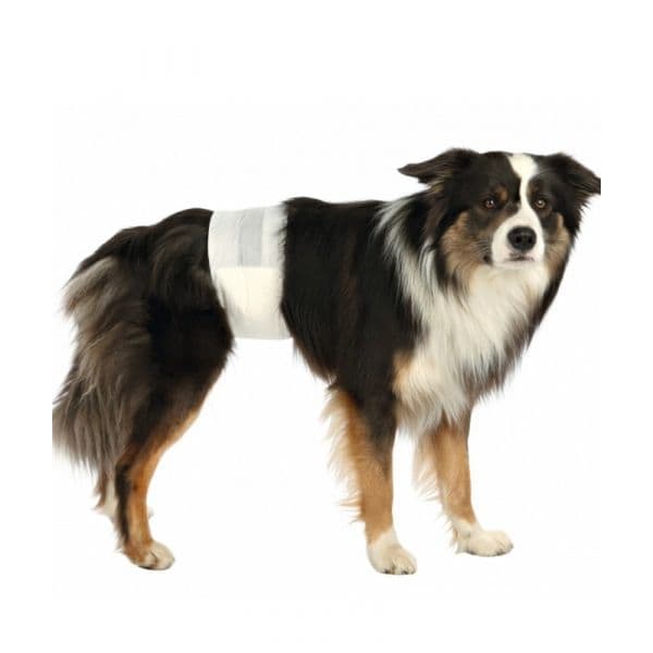 Trixie Fraldas Descartáveis Cães 46-60cm M - L x12 - 23642