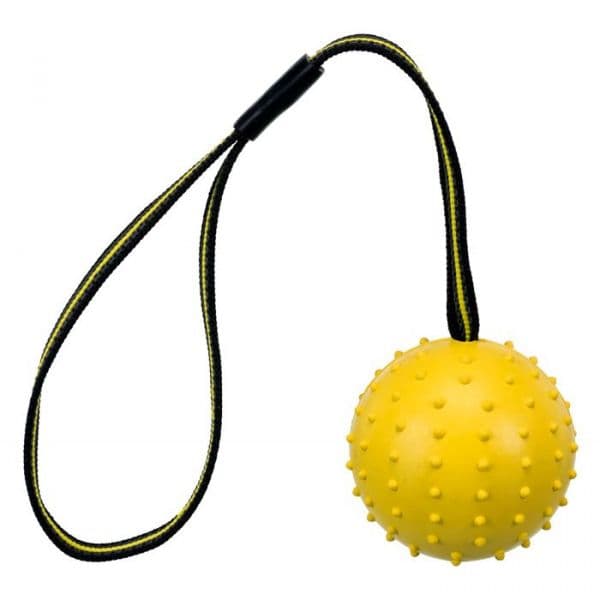Trixie Brinquedo Cão Sporting Bola C/ Pega 6cm