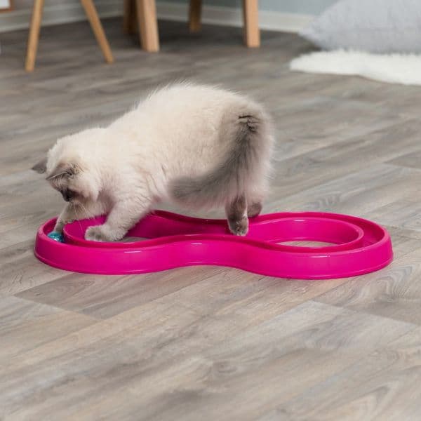 Trixie Brinquedo Gato Flashing Ball Race