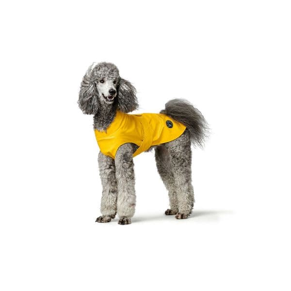 Hunter Milford Casaco/Capa de Chuva Amarelo 30 cm