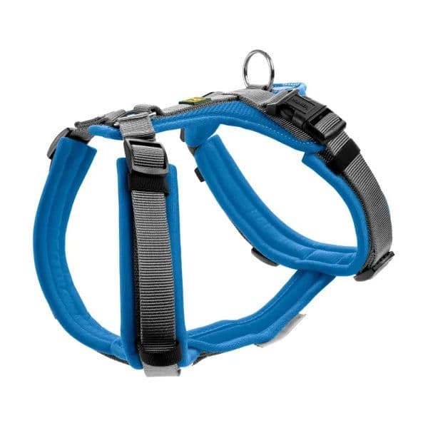 Hunter Arnés Maldon Azul e Gris Xs-S