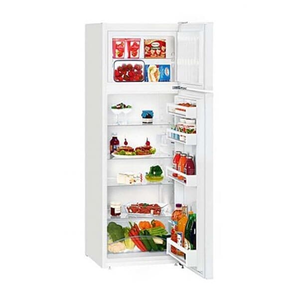 Frigorífico 2 Portas Com Congelador Liebherr CT2931 270L Classe F