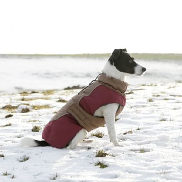 Kerbl Casaco Royalpets 35cm