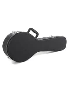 Case for Mandolin Flat Top Economy