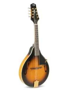 Mandolin A-2 Premium
