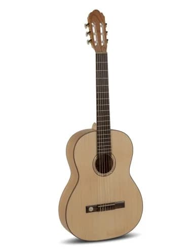 Classical guitar Pro Natura Gold 4/4