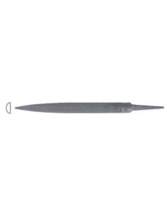Rasp and file