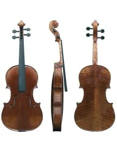 Viola Maestro 6