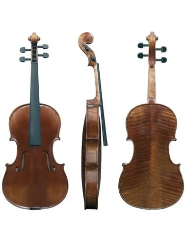 Viola Maestro 6