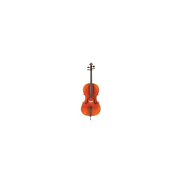 Gewa Violoncelo 4/4 Allegro VC1 Pack com Saco e Arco