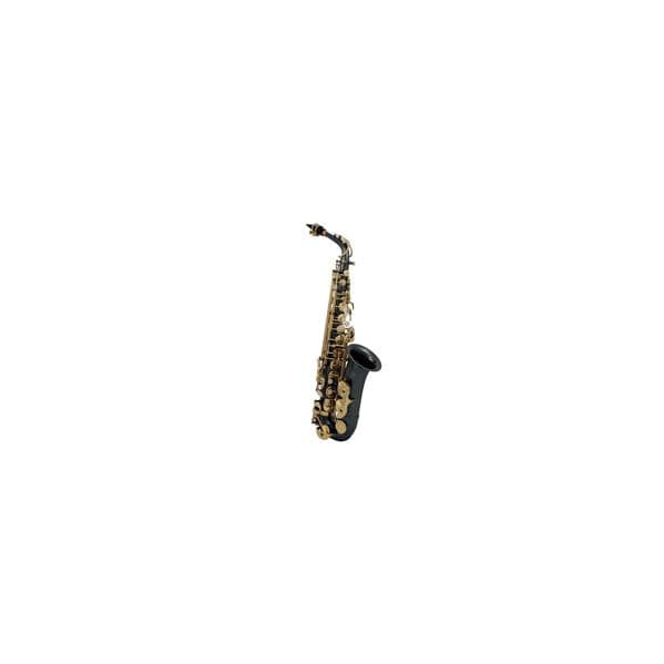 Roy Benson Saxofone Alto AS202K Preto