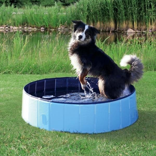 Trixie Piscina 160x30cm - 39483